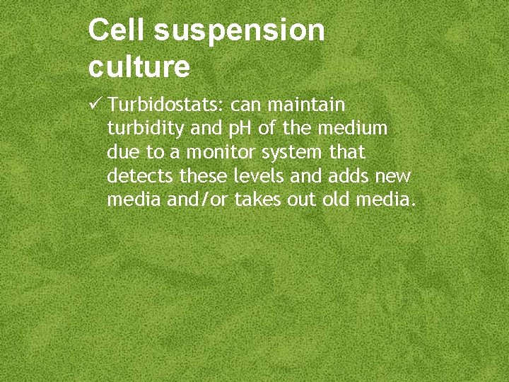 Cell suspension culture Turbidostats: can maintain turbidity and p. H of the medium due