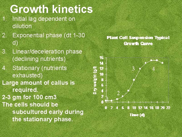 Growth kinetics 1. Initial lag dependent on dilution 2. Exponential phase (dt 1 -30