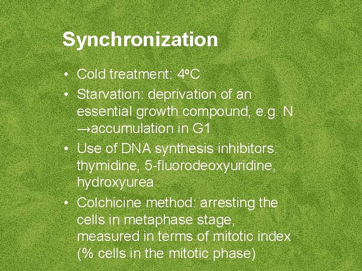 Synchronization • Cold treatment: 4 o. C • Starvation: deprivation of an essential growth