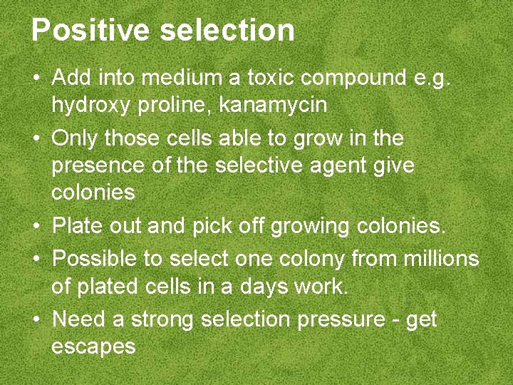 Positive selection • Add into medium a toxic compound e. g. hydroxy proline, kanamycin