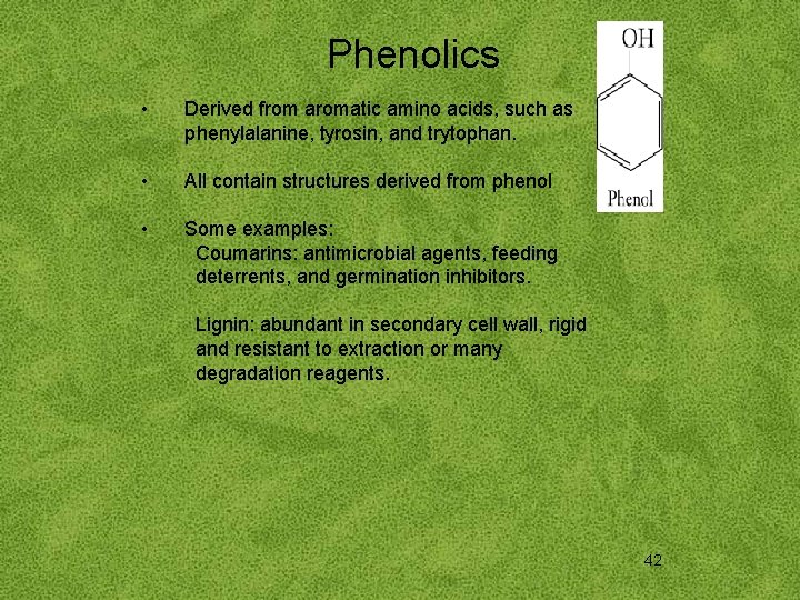 Phenolics • Derived from aromatic amino acids, such as phenylalanine, tyrosin, and trytophan. •