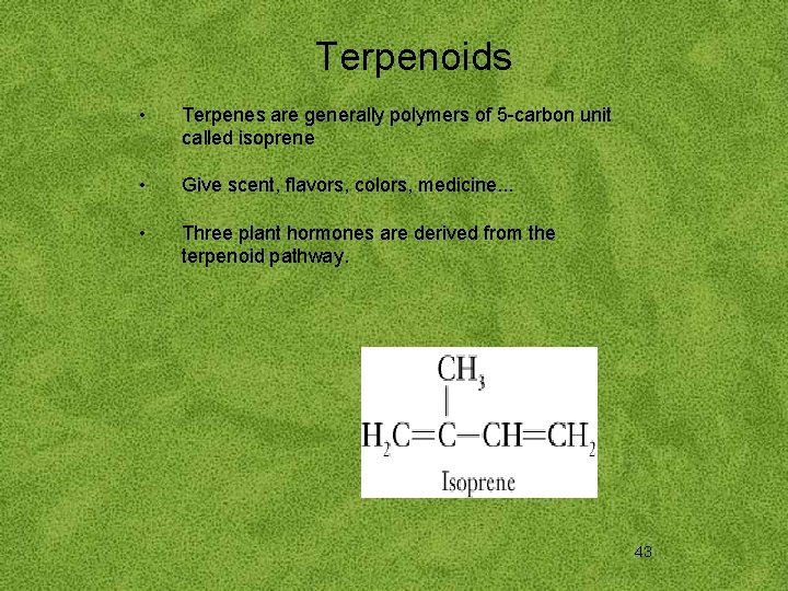 Terpenoids • Terpenes are generally polymers of 5 -carbon unit called isoprene • Give