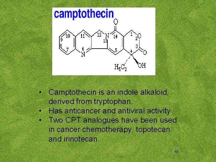  • Camptothecin is an indole alkaloid, derived from tryptophan. • Has anticancer and