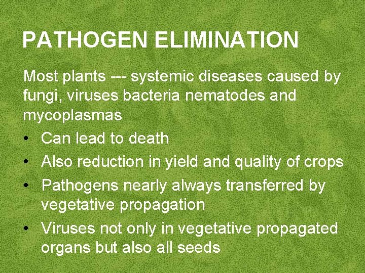 PATHOGEN ELIMINATION Most plants --- systemic diseases caused by fungi, viruses bacteria nematodes and