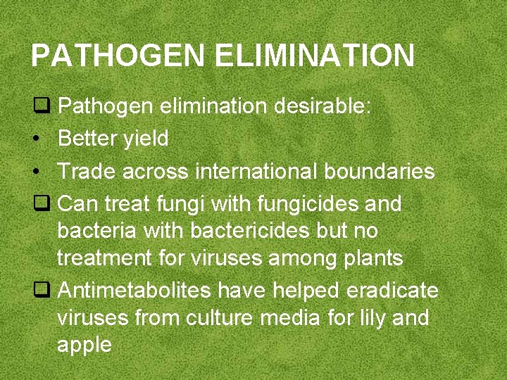 PATHOGEN ELIMINATION q Pathogen elimination desirable: • Better yield • Trade across international boundaries