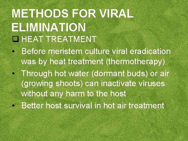 METHODS FOR VIRAL ELIMINATION q HEAT TREATMENT • Before meristem culture viral eradication was