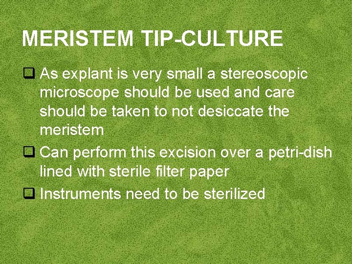 MERISTEM TIP-CULTURE q As explant is very small a stereoscopic microscope should be used