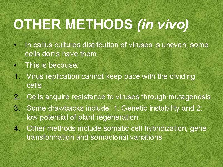 OTHER METHODS (in vivo) • In callus cultures distribution of viruses is uneven; some