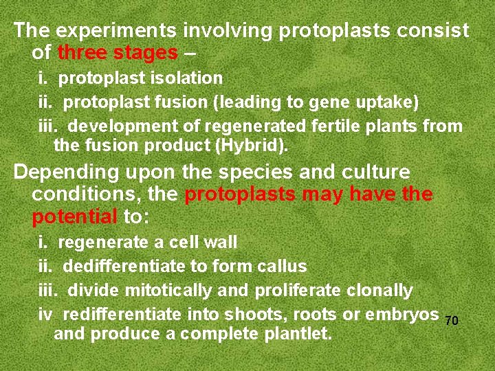 The experiments involving protoplasts consist of three stages – i. protoplast isolation ii. protoplast