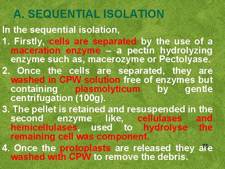 A. SEQUENTIAL ISOLATION In the sequential isolation, 1. Firstly, cells are separated by the