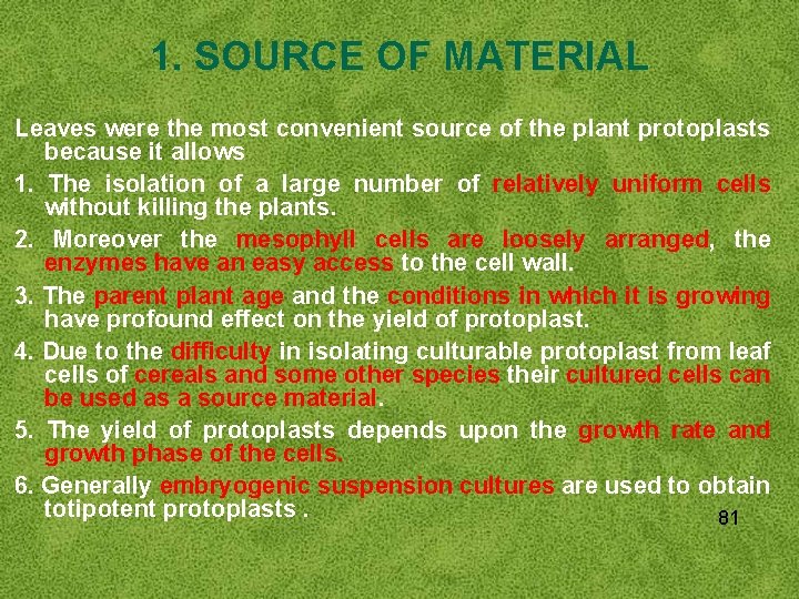 1. SOURCE OF MATERIAL Leaves were the most convenient source of the plant protoplasts