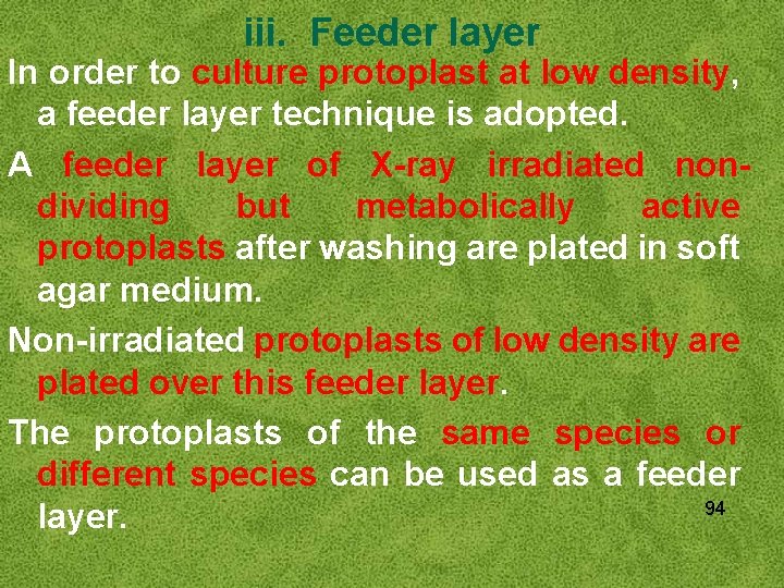 iii. Feeder layer In order to culture protoplast at low density, a feeder layer