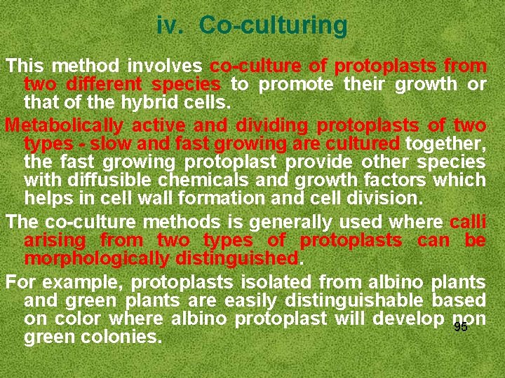 iv. Co-culturing This method involves co-culture of protoplasts from two different species to promote