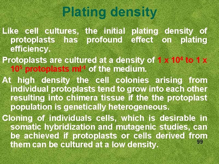 Plating density Like cell cultures, the initial plating density of protoplasts has profound effect