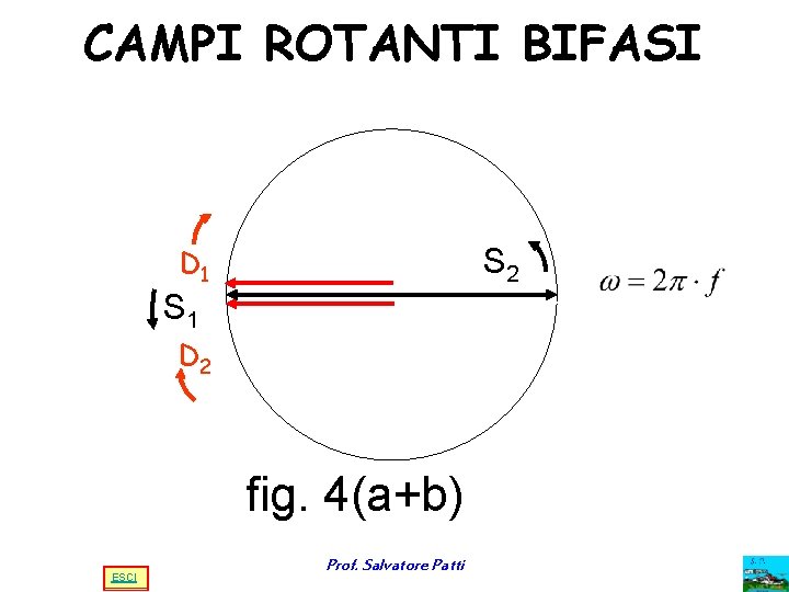 CAMPI ROTANTI BIFASI D 1 S 2 S 1 D 2 fig. 4(a+b) ESCI CAMPI ROTANTI BIFASI D 1 S 2 S 1 D 2 fig. 4(a+b) ESCI