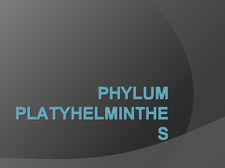 PHYLUM PLATYHELMINTHE S 