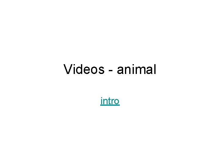 Videos - animal intro 