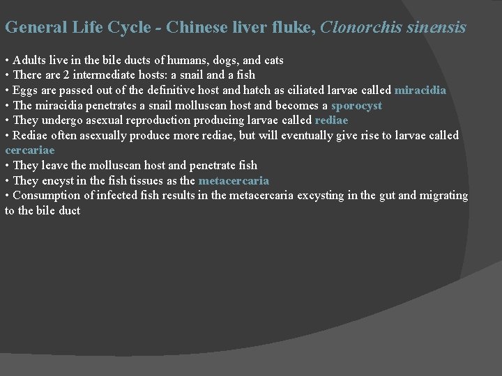 General Life Cycle - Chinese liver fluke, Clonorchis sinensis • Adults live in the
