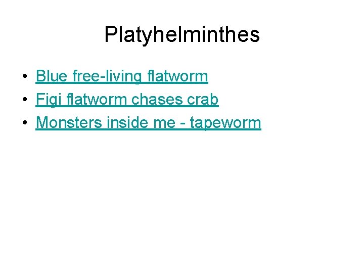 Platyhelminthes • Blue free-living flatworm • Figi flatworm chases crab • Monsters inside me