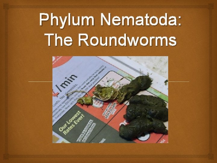 Phylum Nematoda: The Roundworms 
