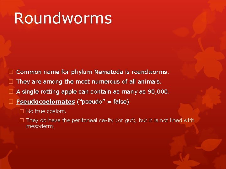 Roundworms � Common name for phylum Nematoda is roundworms. � They are among the