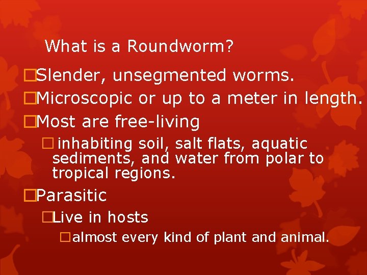What is a Roundworm? �Slender, unsegmented worms. �Microscopic or up to a meter in