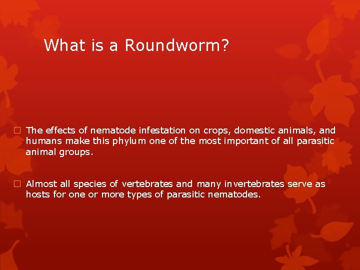 What is a Roundworm? � The effects of nematode infestation on crops, domestic animals,