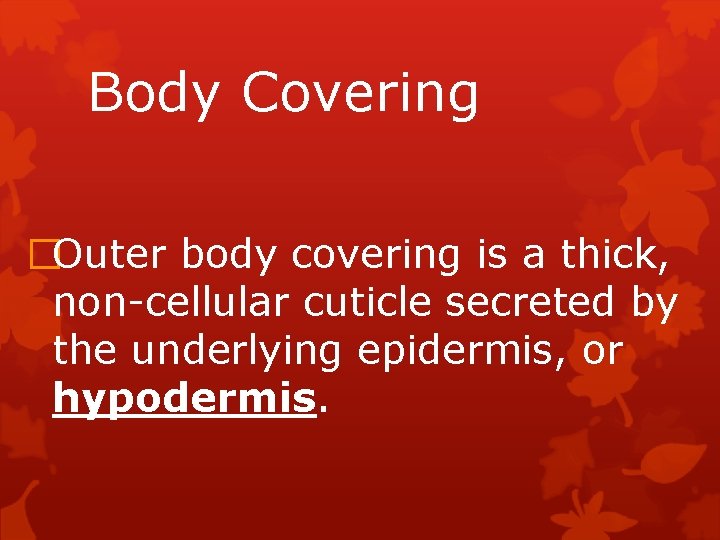 Body Covering �Outer body covering is a thick, non-cellular cuticle secreted by the underlying