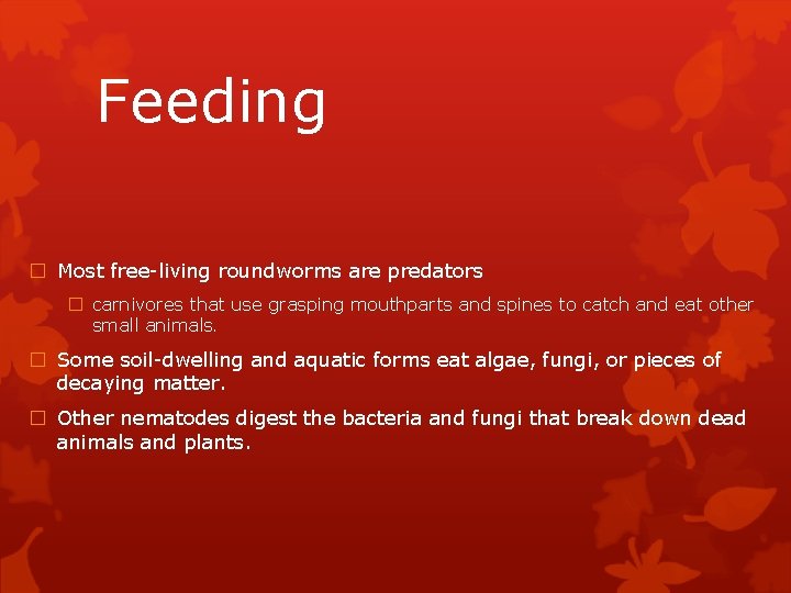 Feeding � Most free-living roundworms are predators � carnivores that use grasping mouthparts and