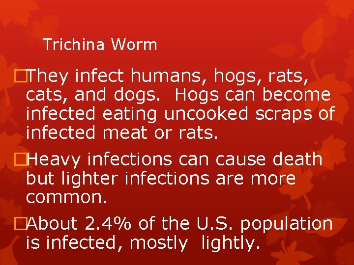 Trichina Worm �They infect humans, hogs, rats, cats, and dogs. Hogs can become infected