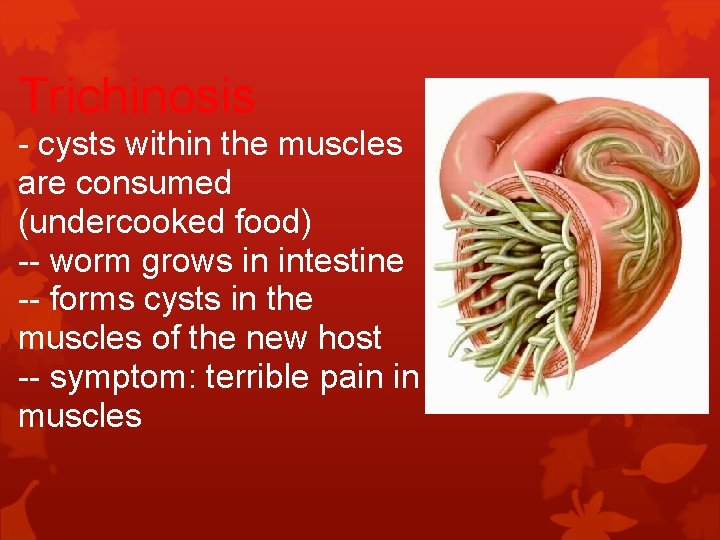 Trichinosis - cysts within the muscles are consumed (undercooked food) -- worm grows in