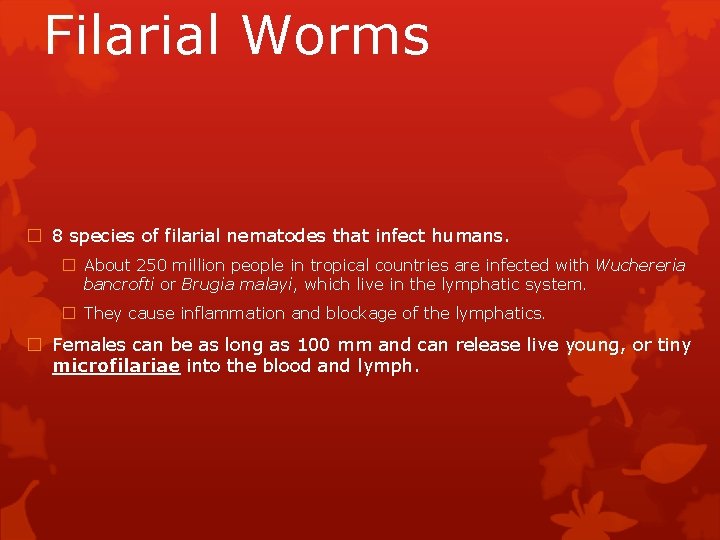 Filarial Worms � 8 species of filarial nematodes that infect humans. � About 250