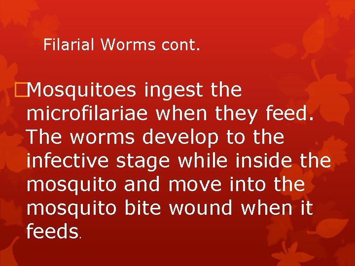 Filarial Worms cont. �Mosquitoes ingest the microfilariae when they feed. The worms develop to