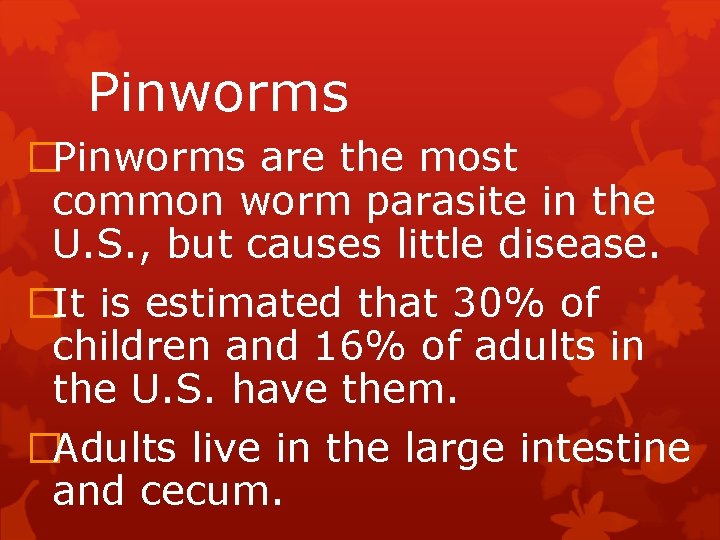 Pinworms �Pinworms are the most common worm parasite in the U. S. , but