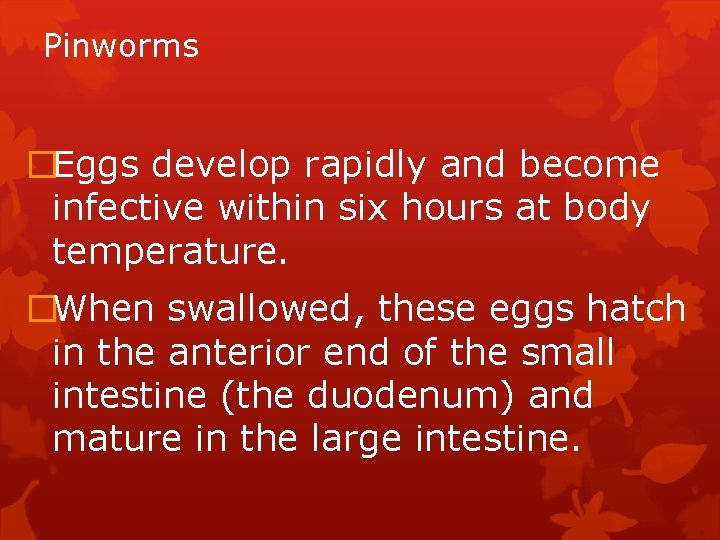 Pinworms �Eggs develop rapidly and become infective within six hours at body temperature. �When