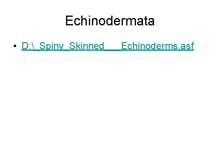 Echinodermata • D: _Spiny_Skinned___Echinoderms. asf 