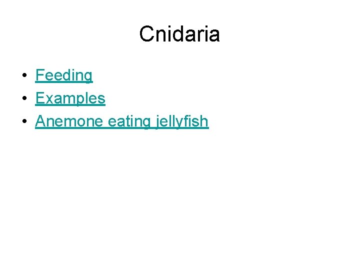 Cnidaria • Feeding • Examples • Anemone eating jellyfish 