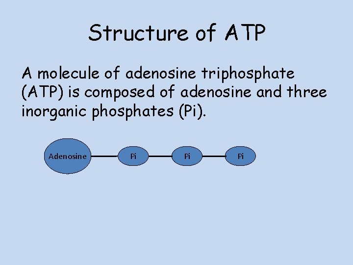 Higher Biology Unit 2 2 2 Cellular Respiration