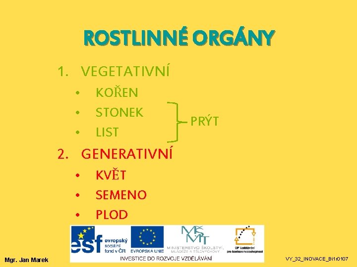 ROSTLINNÉ ORGÁNY 1. VEGETATIVNÍ • • • KOŘEN STONEK LIST PRÝT 2. GENERATIVNÍ • ROSTLINNÉ ORGÁNY 1. VEGETATIVNÍ • • • KOŘEN STONEK LIST PRÝT 2. GENERATIVNÍ •