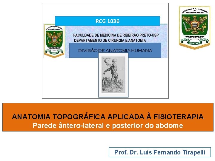 RCG 1036 ANATOMIA TOPOGRÁFICA APLICADA À FISIOTERAPIA Parede ântero-lateral e posterior do abdome Prof.