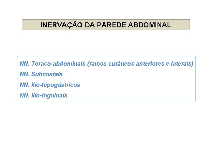 INERVAÇÃO DA PAREDE ABDOMINAL NN. Toraco-abdominais (ramos cutâneos anteriores e laterais) NN. Subcostais NN.