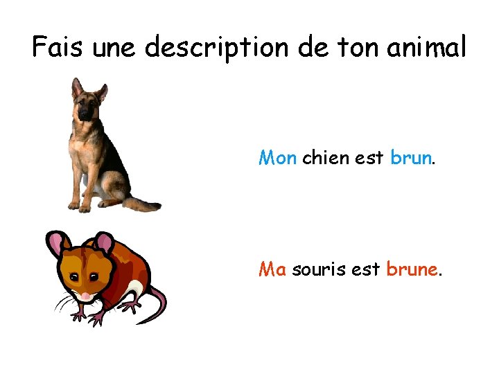 Fais une description de ton animal Mon chien est brun. Ma souris est brune.