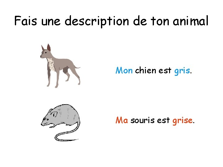 Fais une description de ton animal Mon chien est gris. Ma souris est grise.