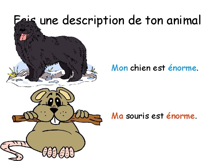 Fais une description de ton animal Mon chien est énorme. Ma souris est énorme.