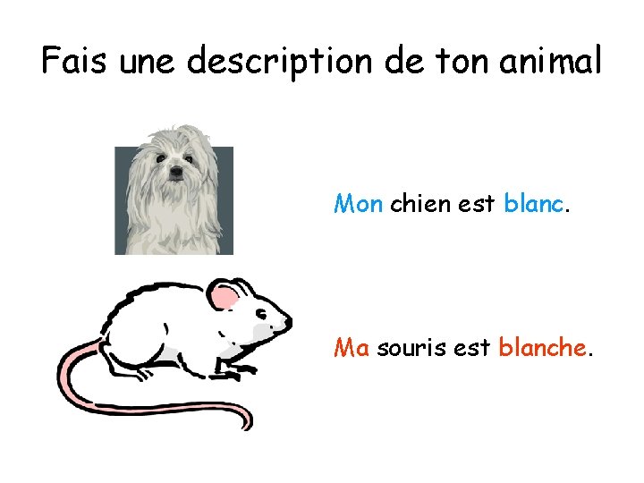 Fais une description de ton animal Mon chien est blanc. Ma souris est blanche.