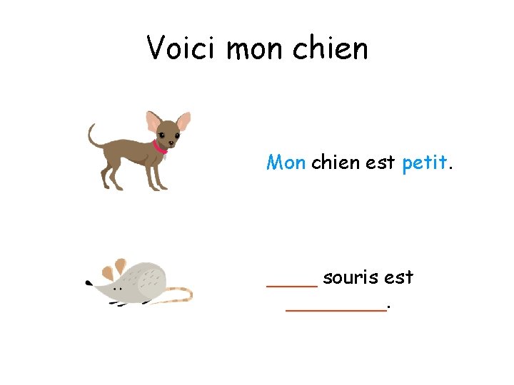 Voici mon chien Mon chien est petit. ____ souris est ____. 