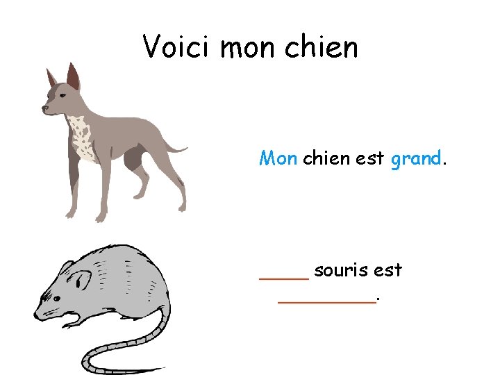 Voici mon chien Mon chien est grand. ____ souris est ____. 