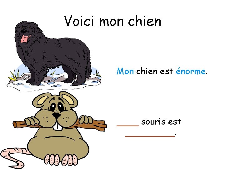 Voici mon chien Mon chien est énorme. ____ souris est _____. 