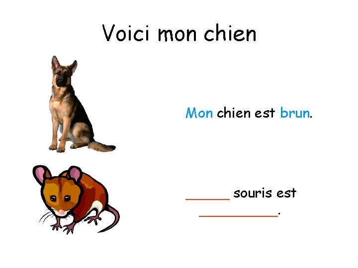 Voici mon chien Mon chien est brun. _____ souris est _____. 