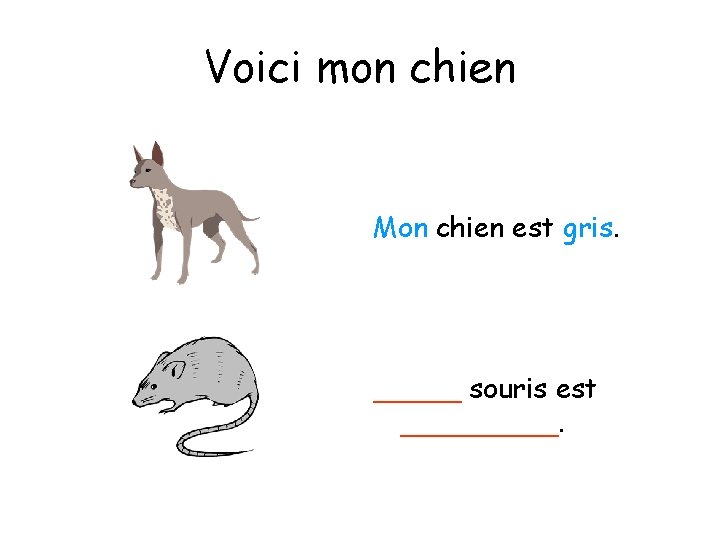 Voici mon chien Mon chien est gris. _____ souris est _____. 